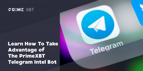 Learn How To Take Advantage of The Flurex Option Telegram Intel Bot - 2019 12 11 19.43.30 e1591860749995