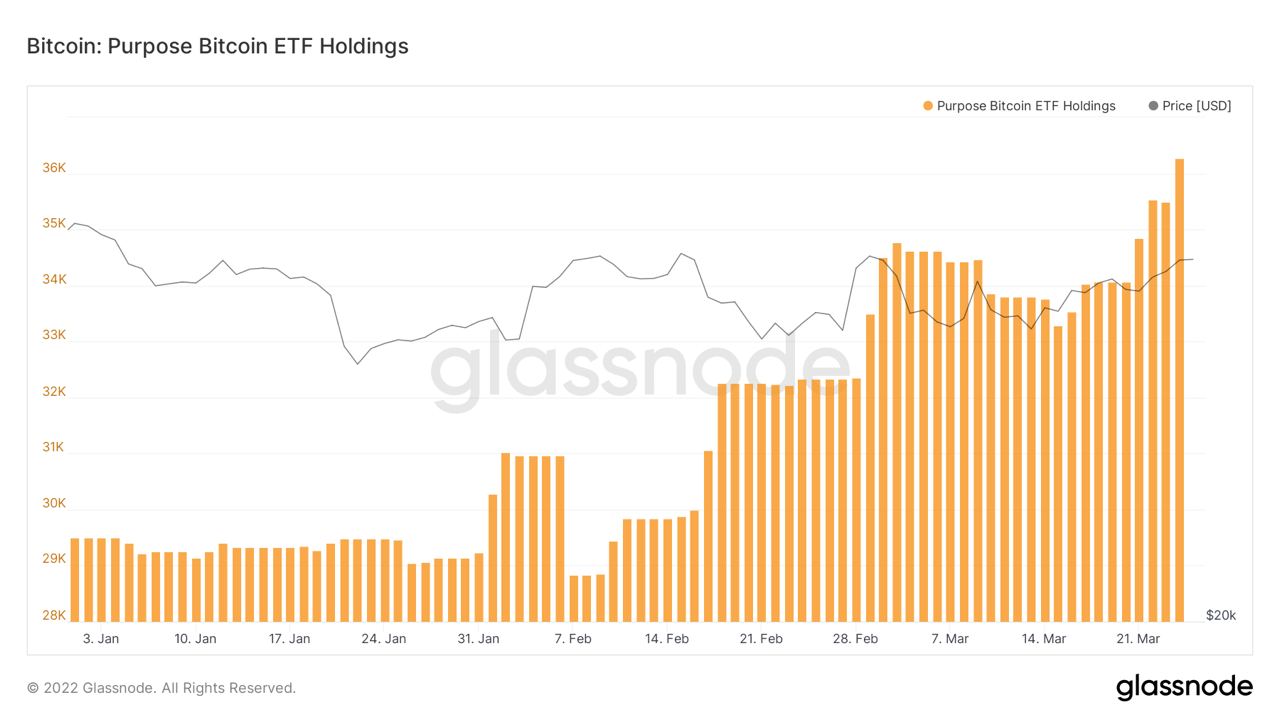 Market Research Report: Stocks Ignore Rising Rates To Move Higher While BTC Surges Above $46,000 - Purpose BTC ETF