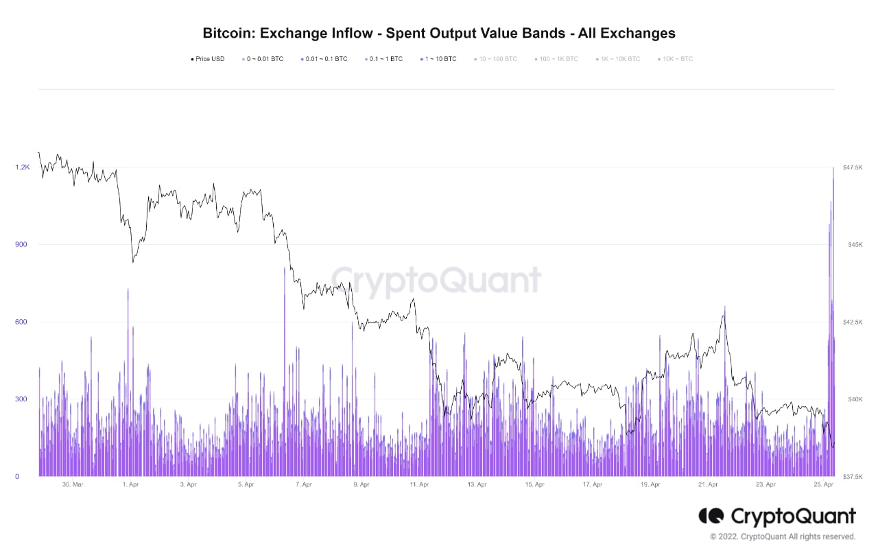 Market Research Report: BTC Grinds Lower, Altcoins Crushed As Stocks Plummet To Year’s Low; Oil Jumps 9% - BTC small investors