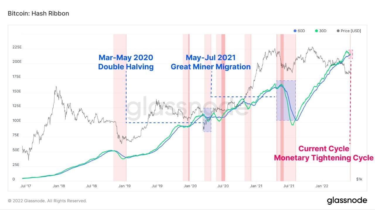 Market Research Report: Inflation Shock Crashes Stocks But Lifts USD And Gold, Crypto Sees Weekend Dump - BTC Hash Ribbons