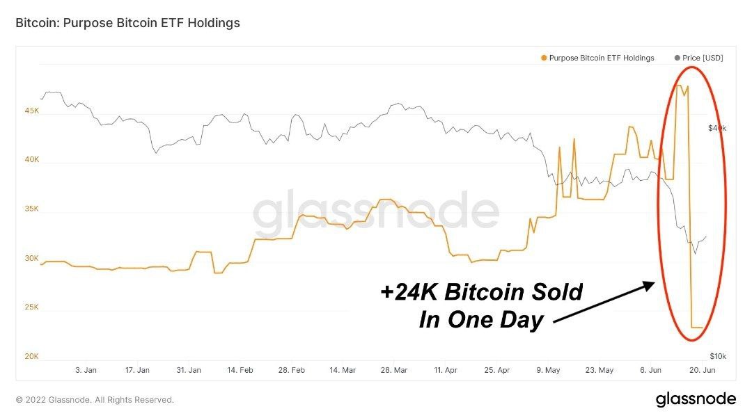 Market Research Report: Stocks Post First Gain in Weeks, Oil Dips, Altcoins Lead Late Week Bounce - BTC Purpose ETF