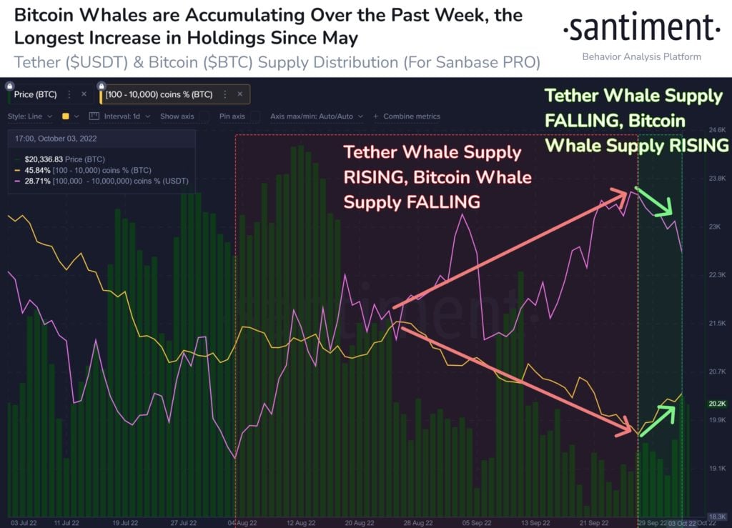 Market Research Report: Stock Bulls Soured by Payrolls Beat, Oil Surges on Production Cut, XRP Outperforms Market - BTC whales add 1024x739